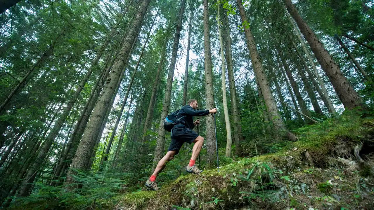 Die besten Trailrunning-Schuhe für Einsteiger: Welches Modell passt zu dir?